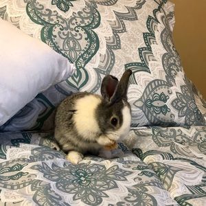 Meet your Posher, Tracy